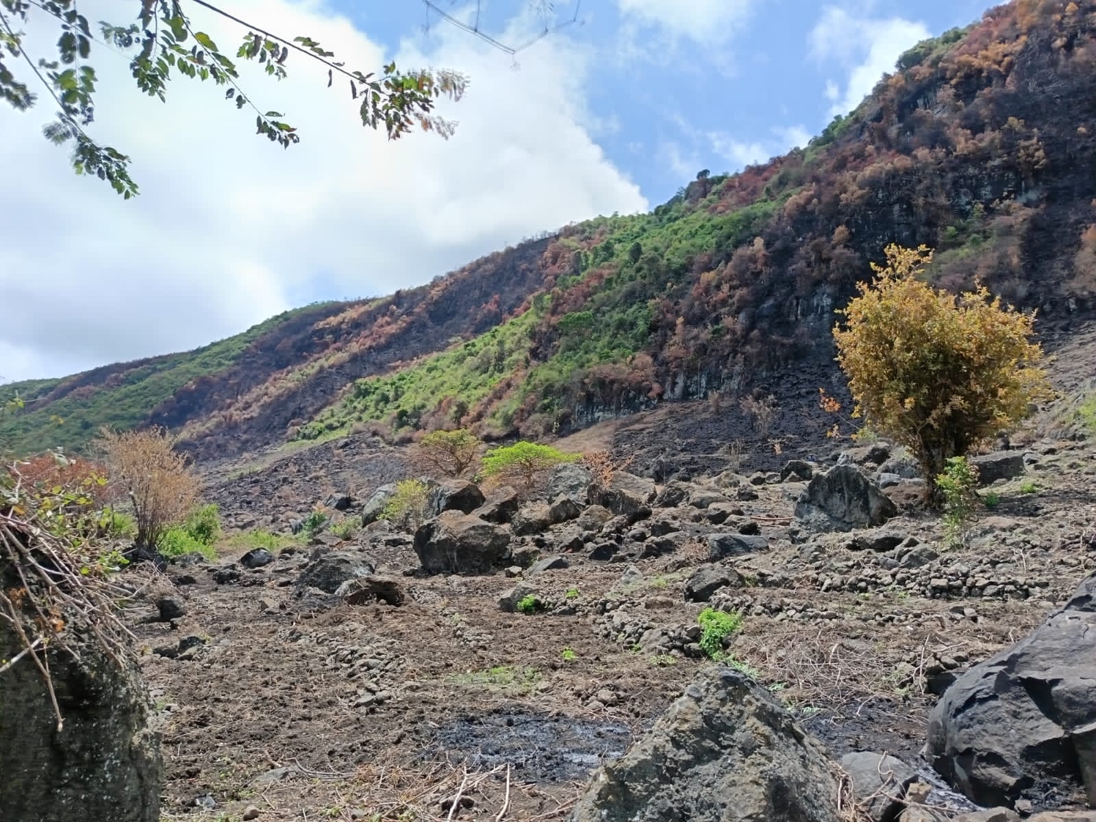 Education Initiative